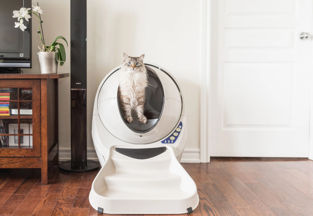 Robot Liti Re Liti Re Automatique Et Autonettoyante Pour Chat